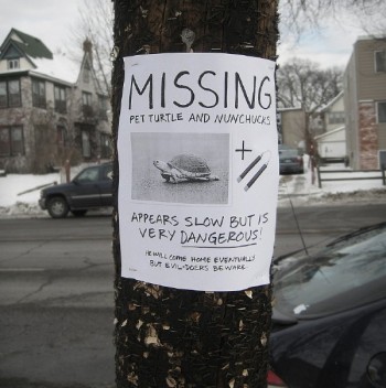 Missing - Turtle and Nunchucks