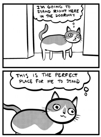 Doorway Cat