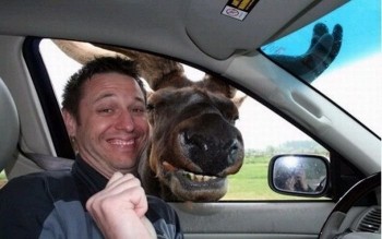 Say Cheese