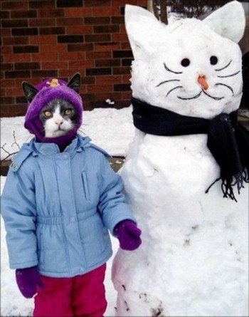 Cat Snowman