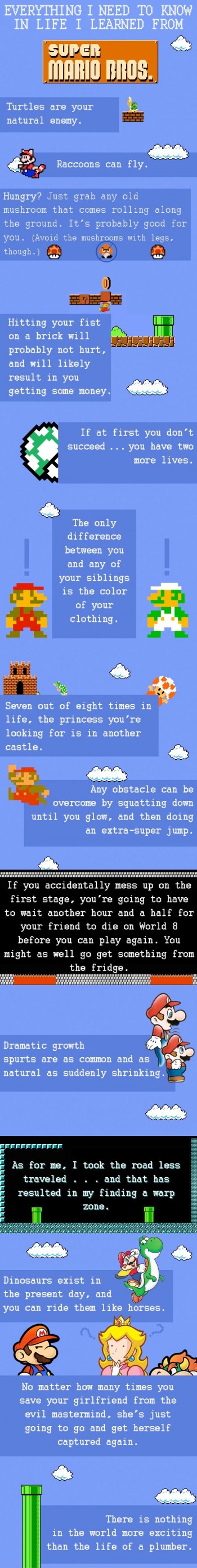 What I've Learned From Mario