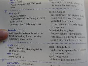 Politically Incorrect Grammar Book