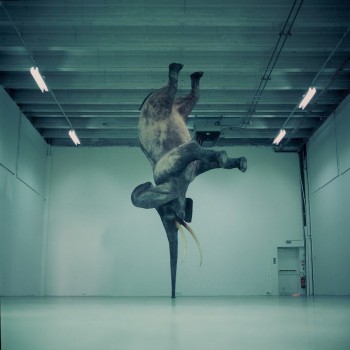 Elephant Trunkstand