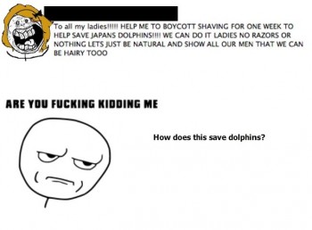 Save The Dolphins!