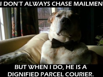 I Don't Always Chase Mailmen