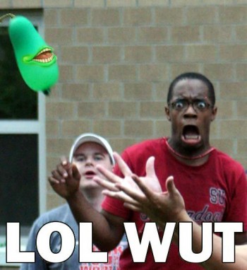 LOL WUT