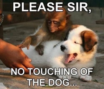 Please Sir