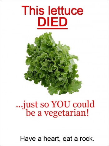 This Lettuce Died