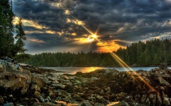 Amazing Photo