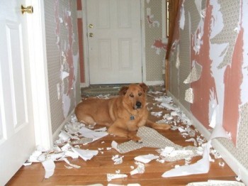 Like What I Did With The Place?