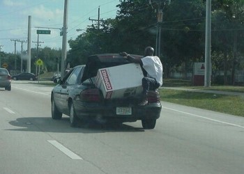 Looks Safe