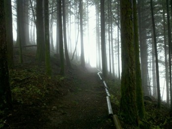 Morning Hike