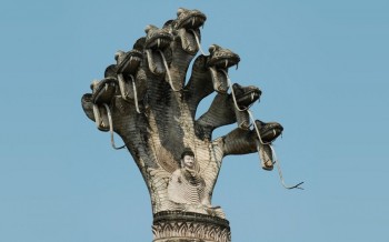 Naga