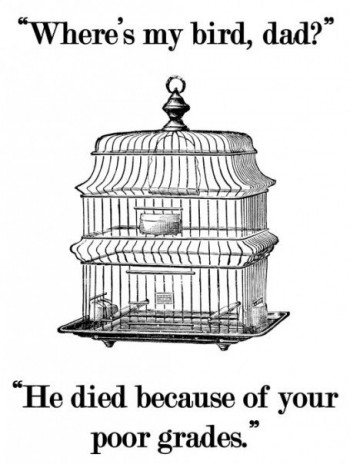 Where's My Bird?