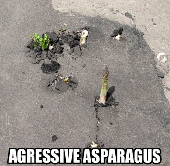 Agressive Asparagus