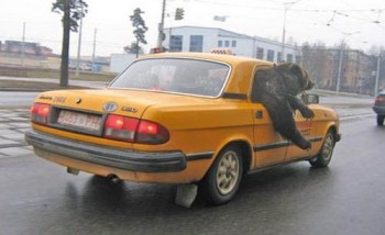 Follow that honey!