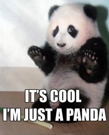 I'm just a panda