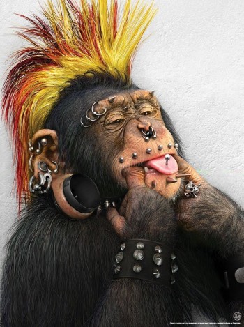 Punk Chimp