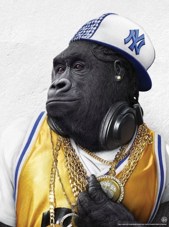 Gangsta Gorilla