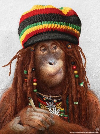 Rasta Orangutang