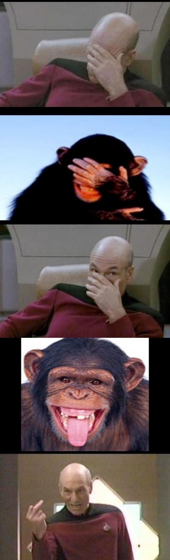 Picard vs Chimp