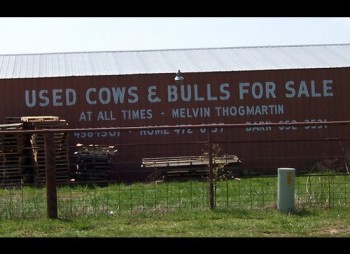Used Cows & Bulls