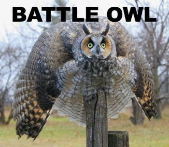 Battle Owl