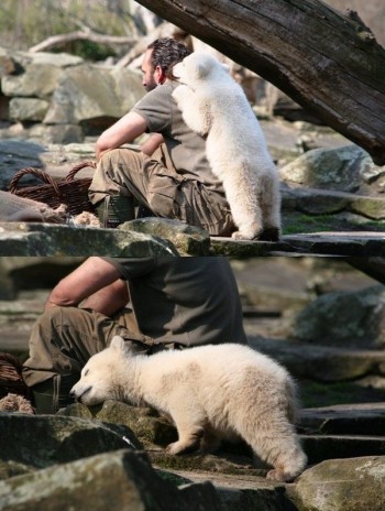 Polar Bear & Keeper