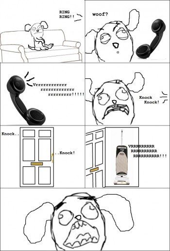 Dog Horror Movie