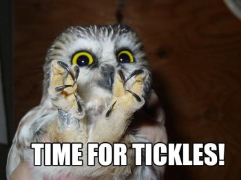 Time For Tickles!