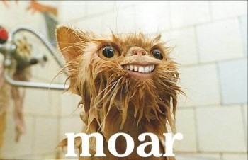 moar