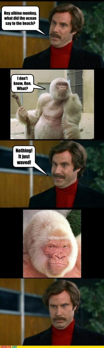 Hey Albino Monkey
