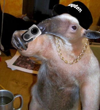 Compton Ant Eater