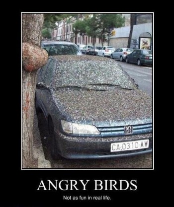 Angry Birds