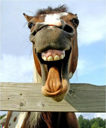 Heyyyyyyyyyyyyy