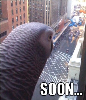 Soon...