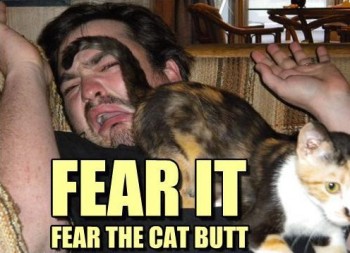 Fear It