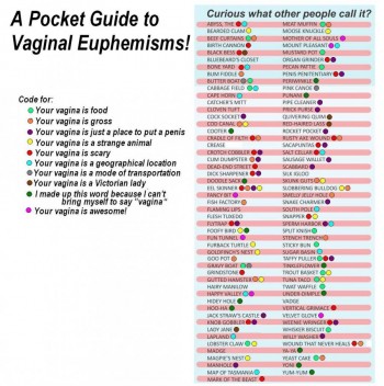 Vaginal Euphemisms Pocket Guide
