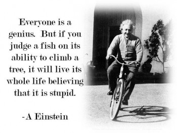 Everyone Is A Genius