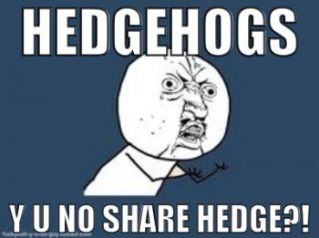 Hedgehogs