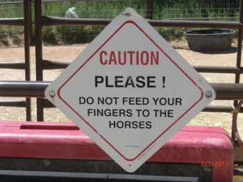 Feed Your Fingers
