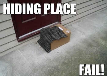 Package Hiding Place