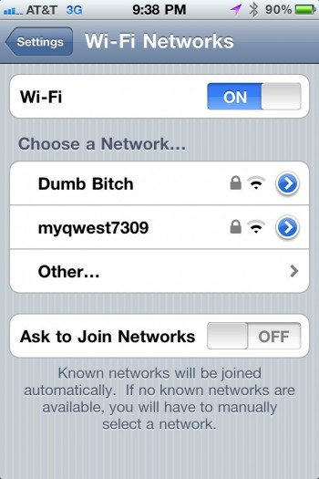 Dumb Bitch