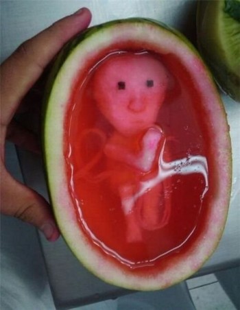 Watermelon Fetus