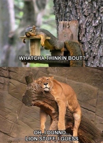 Whatcha thinkin' 'bout?