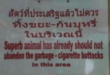 Superb animal has already should not abandon the garbage