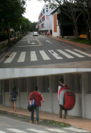 Small backpack