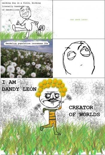 Dandelion