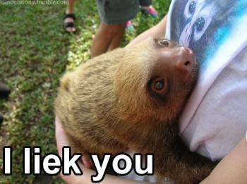 I liek you