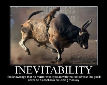 Bull Riding Monkey